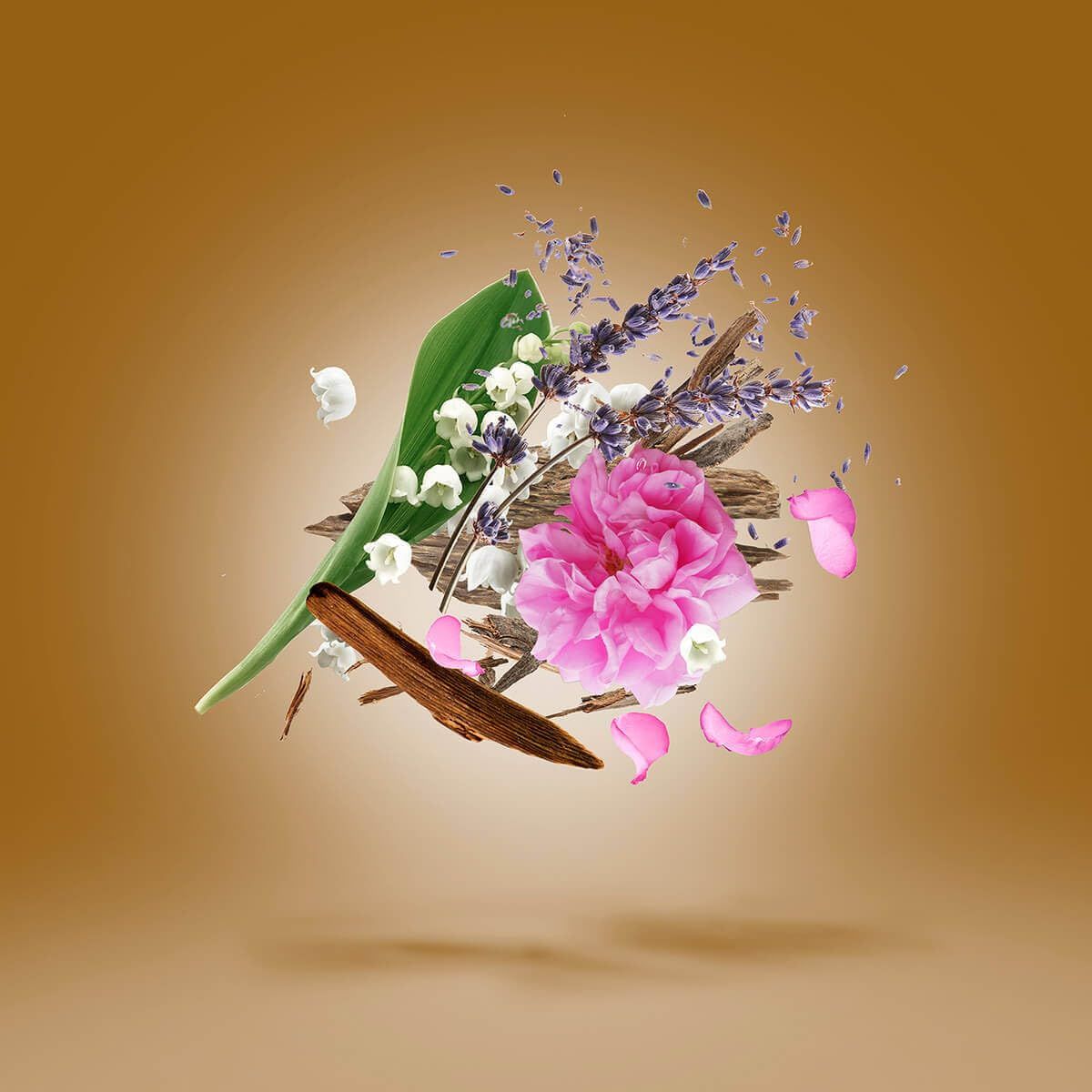 Xerjoff Alexandria Iii Edp 50Ml